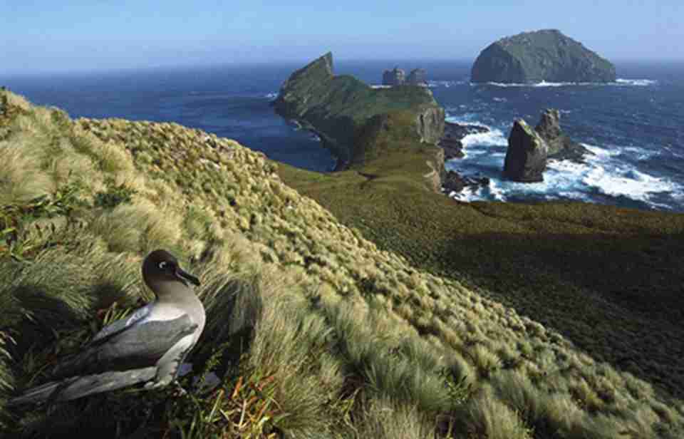 新西兰次南极区群岛包括了新西兰南部和东南部海域的五个岛屿