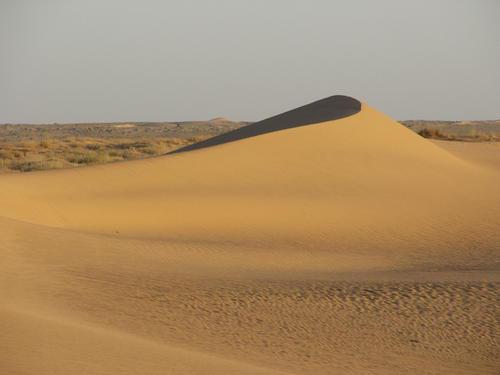 公园也有大片撒哈拉地区的风沙地貌