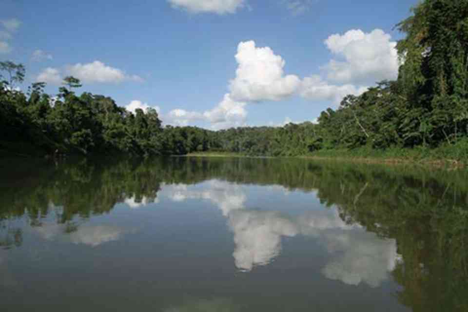 雷奥普拉塔诺生物圈保留地位于洪都拉斯东北部