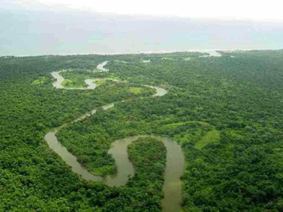 保护区是洪都拉斯境内最大的原始热带雨林保护地