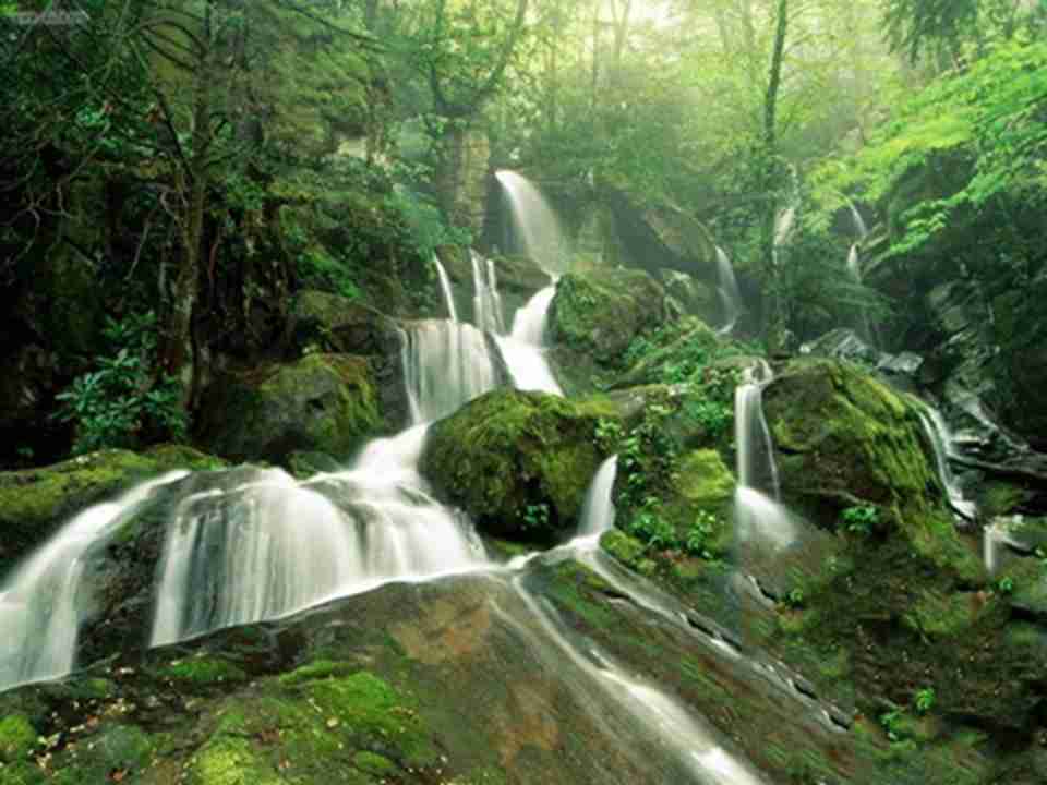 大烟雾山国家公园是国际生物圈保护地，还是世界遗产所在地