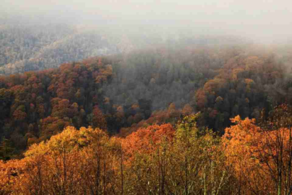 由于山林上空总是笼罩着一层淡淡的薄雾，因此得到了大烟雾山这个名称