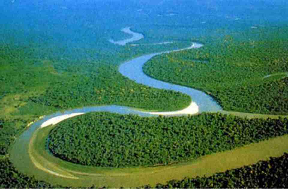自然资源不断强化亚马逊地区中部水生物种多样性