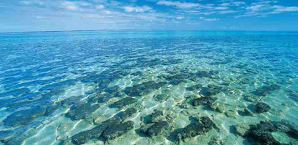 鲨鱼湾4个显著的天然的特征而被列入世界遗产