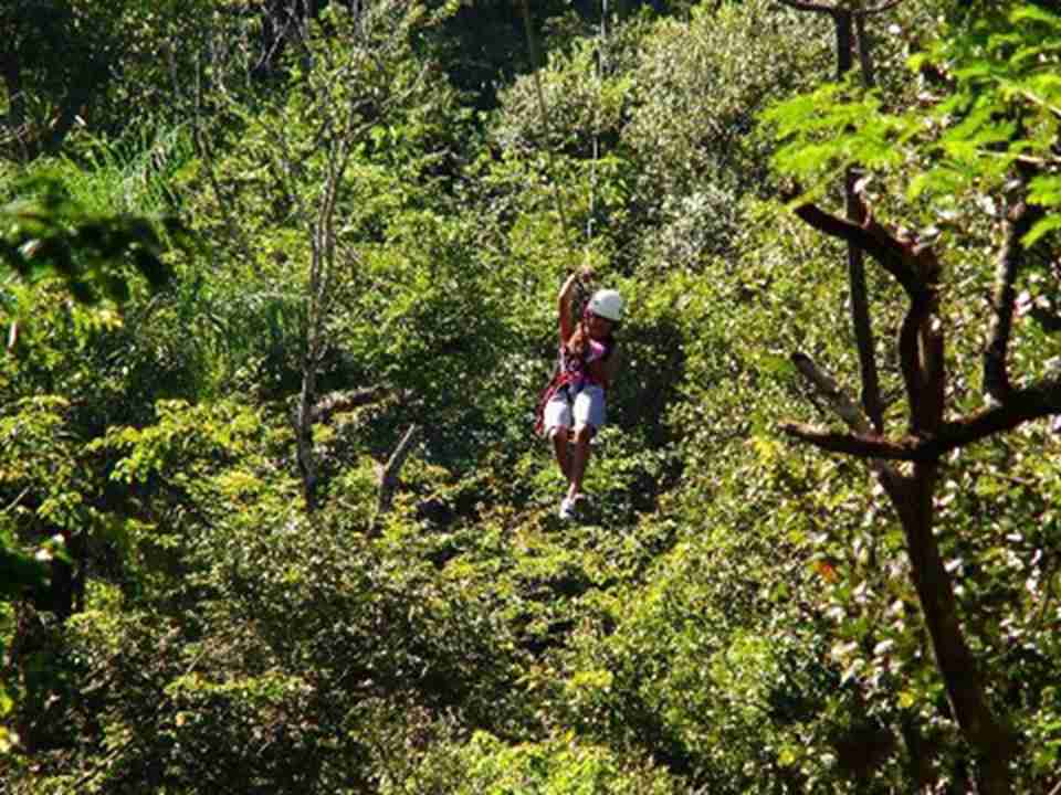 瓜纳卡斯特自然保护区内最受游客欢迎的景点