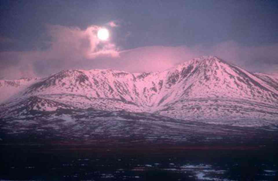 弗兰格尔岛保护区位于东西伯利亚海与楚科奇海之间，南为楚科奇半岛