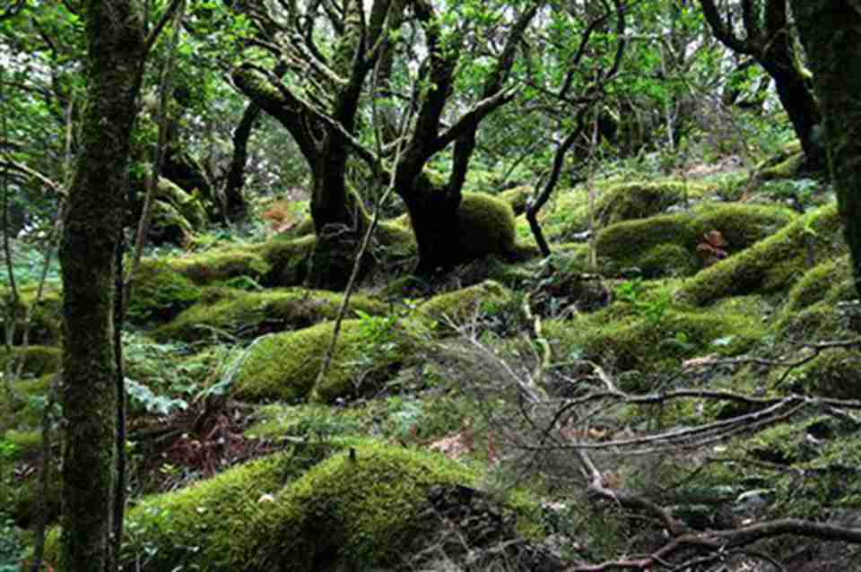 加拉霍艾国家公园被列入《世界遗产目录》