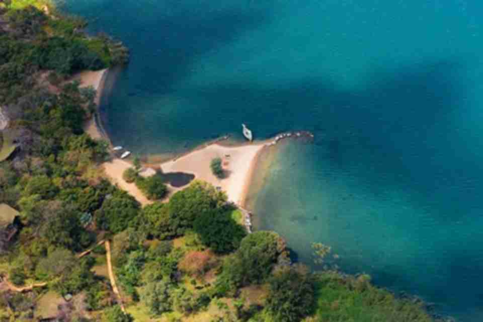 马拉维湖保护着当地上百种特有鱼类