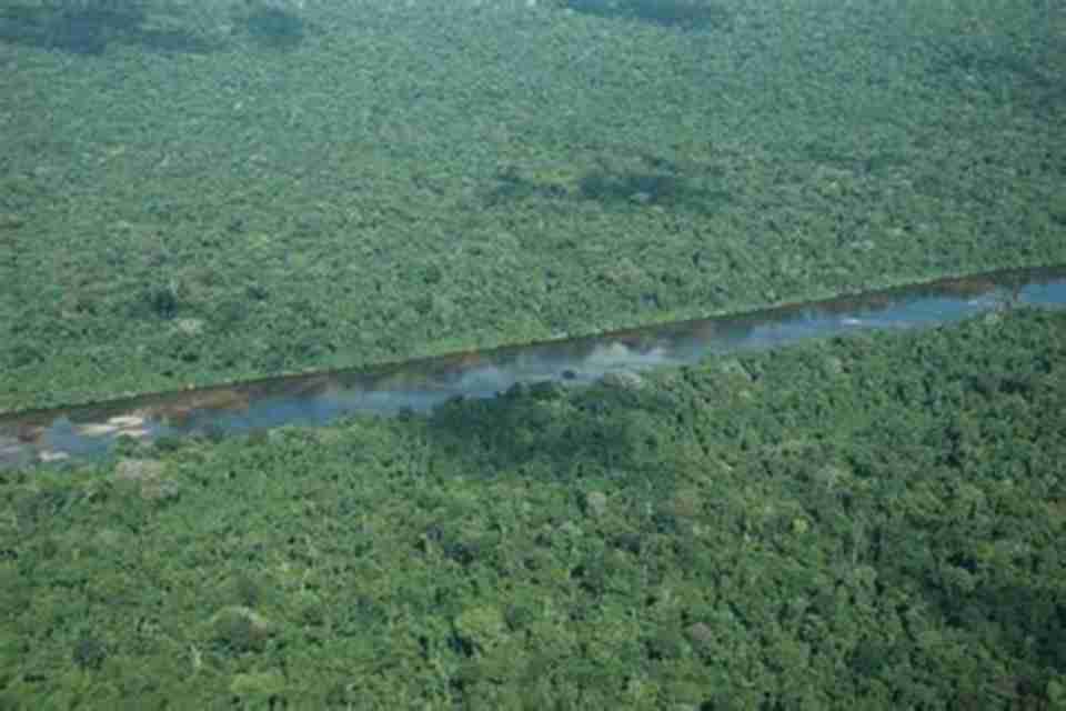 保护区中的原始热带雨林达16000平方公里
