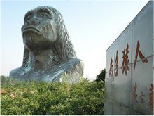 中原人类的共同祖先——南召猿人