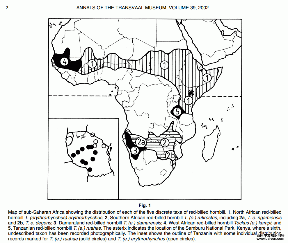 红嘴犀鸟地理分布图。